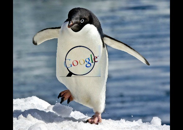 penguin no background